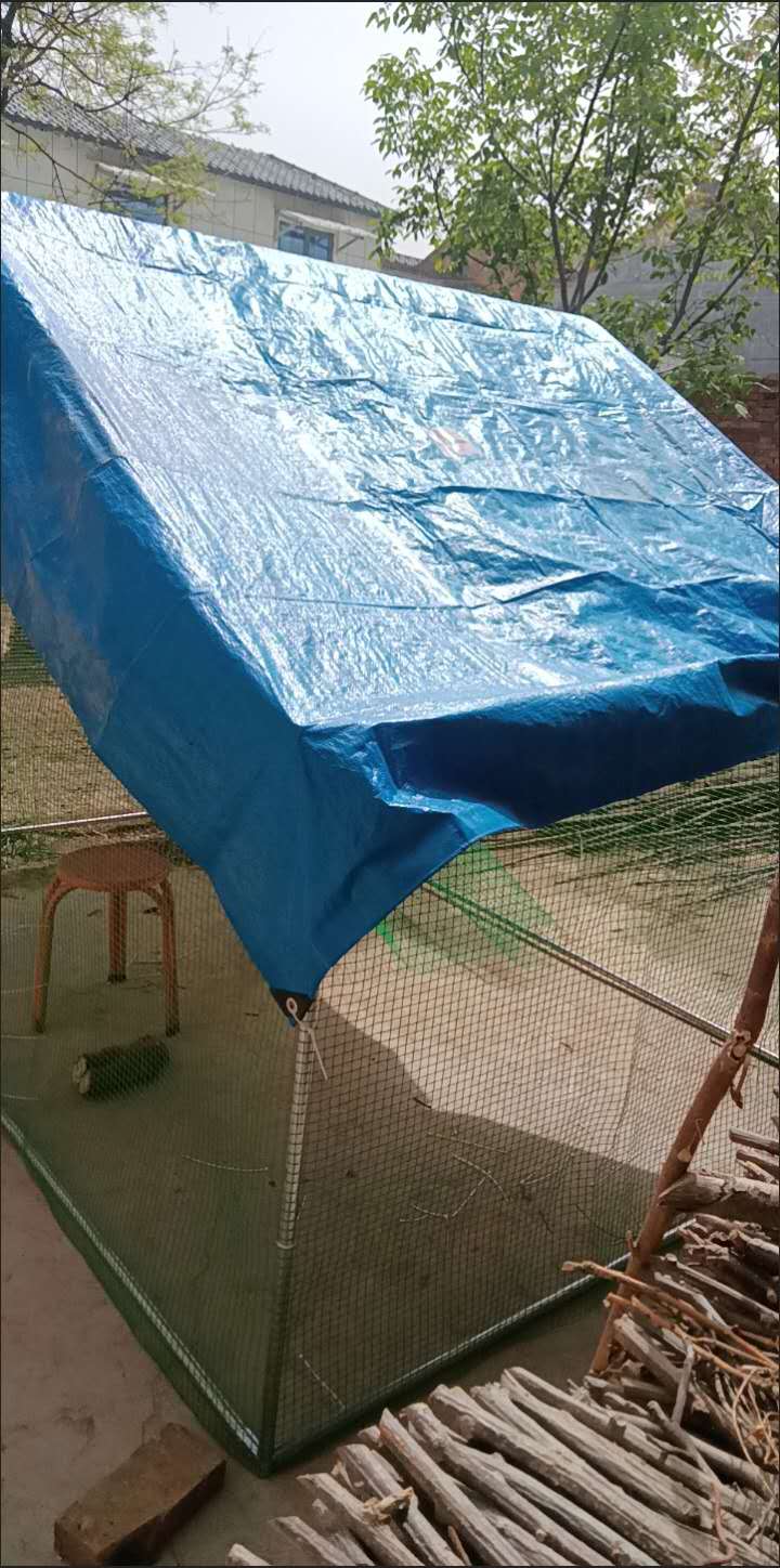 Brand new chicken coops, chicken cages