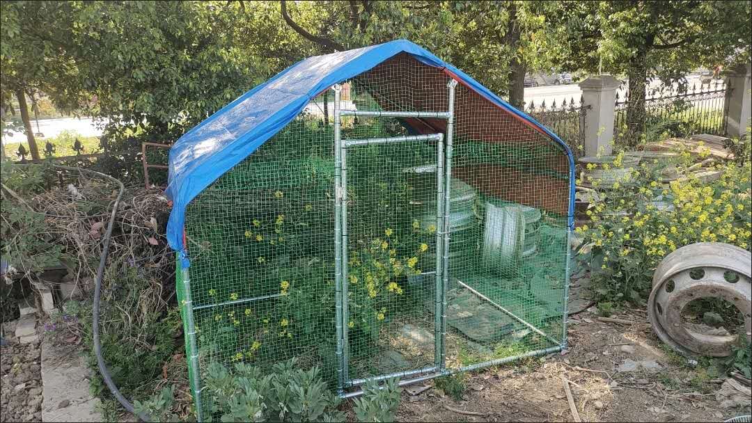 Brand new chicken coops, chicken cages