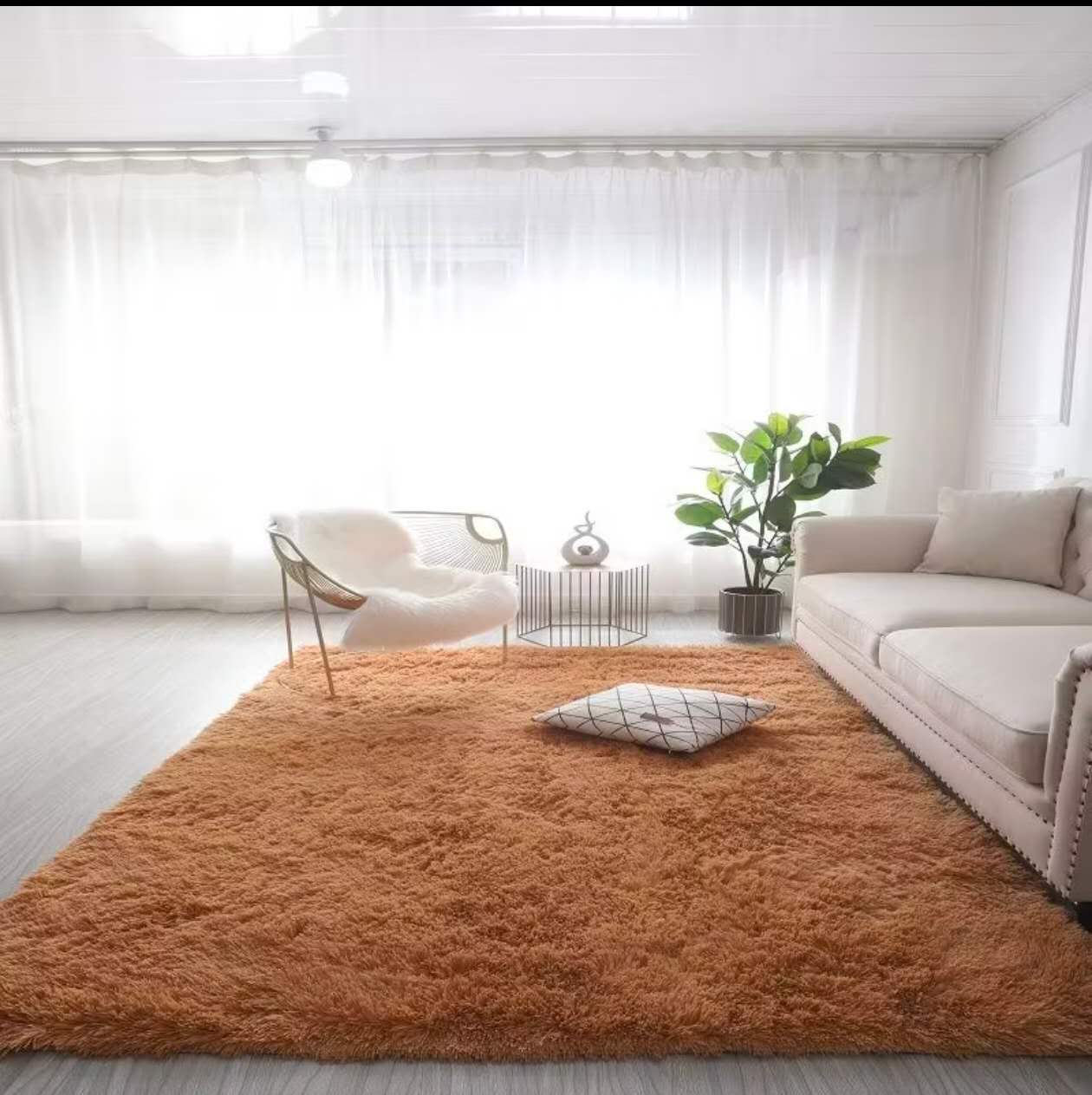 Fluffy Carpet 2*3m