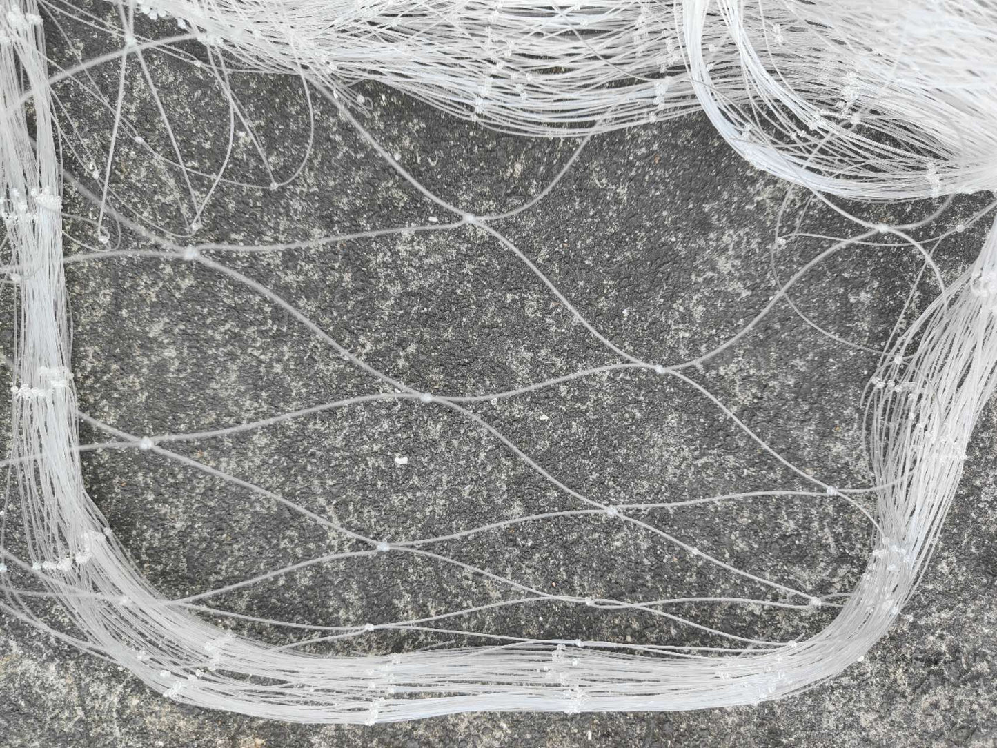 Fishing Net