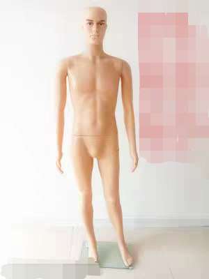 Mannequin with Wigs