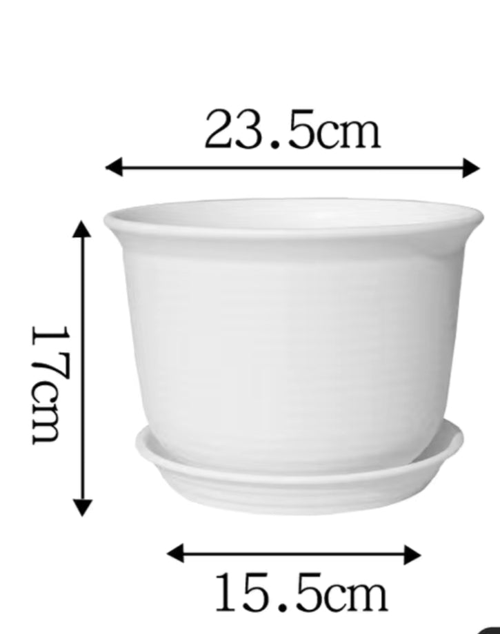 Flower Pot