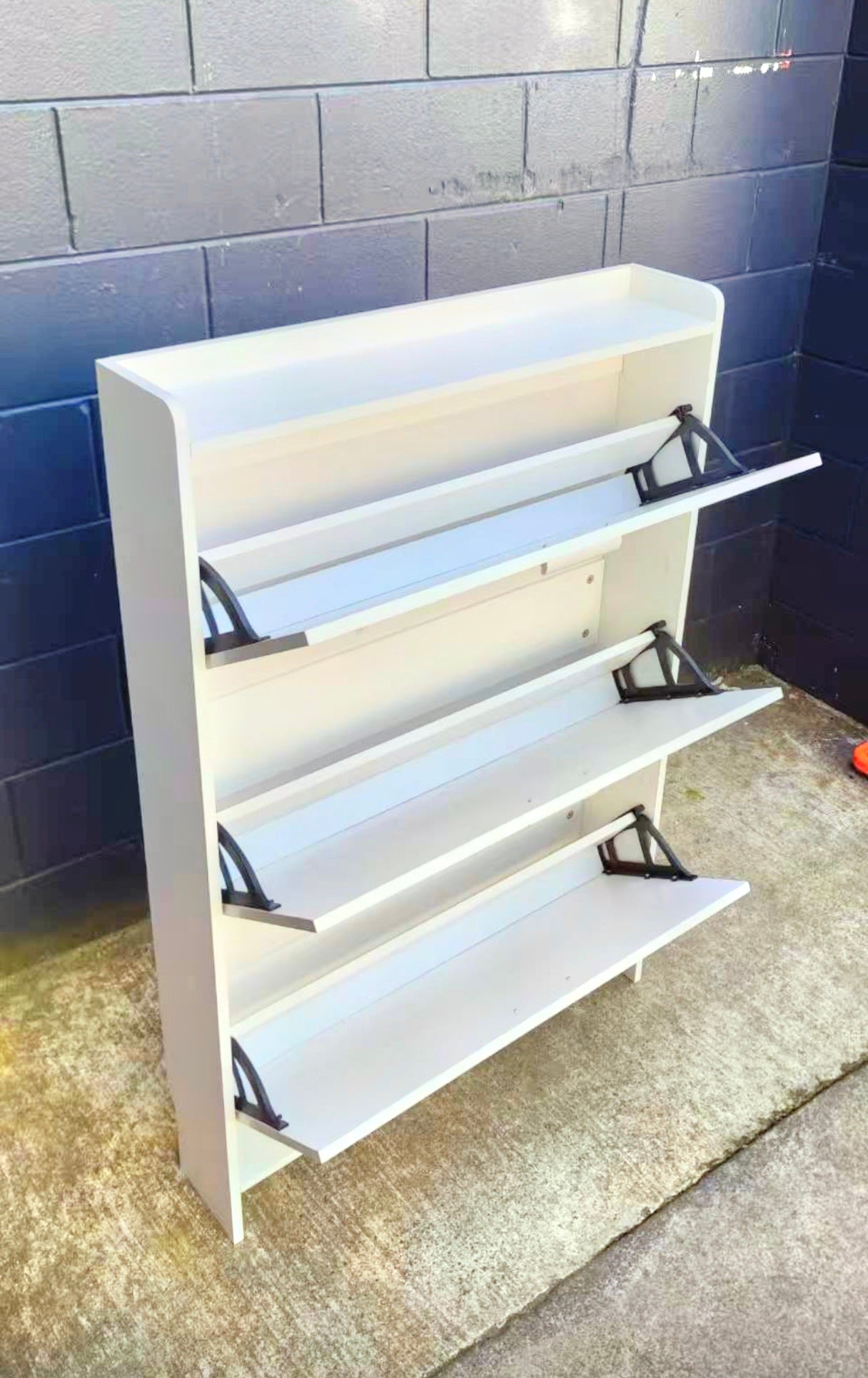Brand New Flip Door Shoe Cabinet