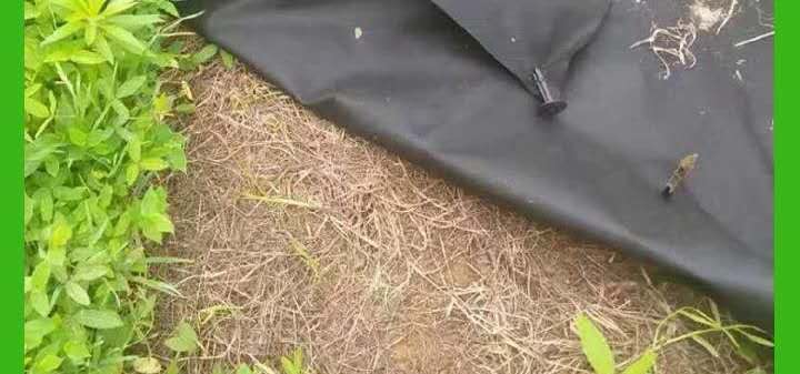 Weed Mats 1x 100m